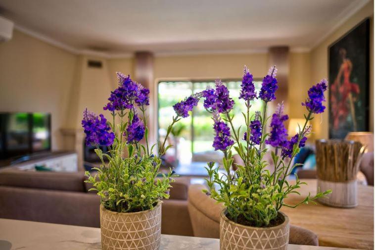2Bedroom Bungalow Heated Shared Pool ,Near Carvoeiro And Ferrugudo Exterior foto